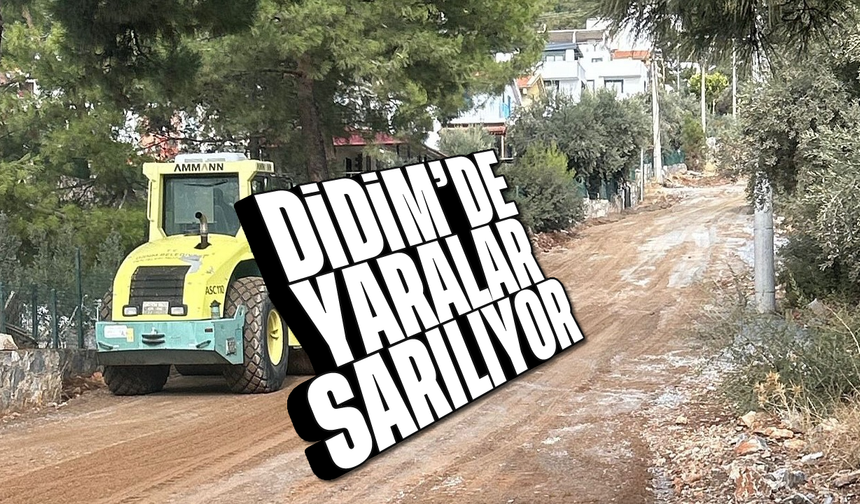 Didim'de yaralar sarılıyor