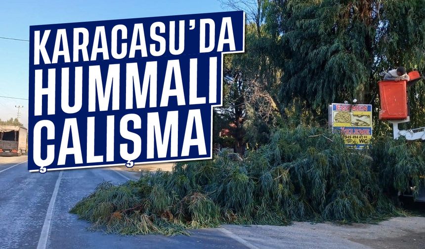 Karacasu'da hummalı çalışma