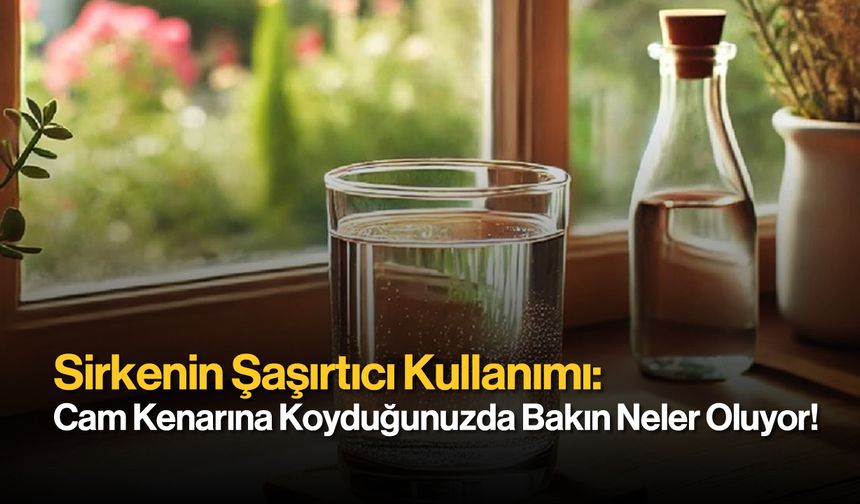 Sirkenin Şaşırtıcı Kullanımı: Cam Kenarına Koyduğunuzda Bakın Neler Oluyor!