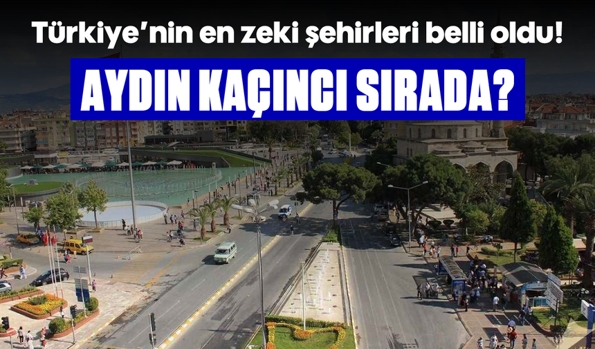 Türkiye'nin en zeki şehirleri belli oldu! Aydın kaçıncı sırada?