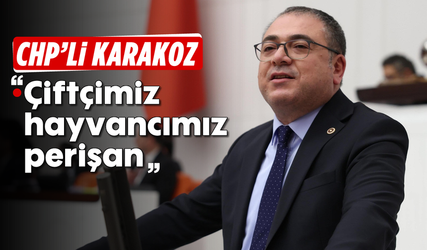 CHP’li Karakoz: “Çiftçimiz, hayvancımız perişan”