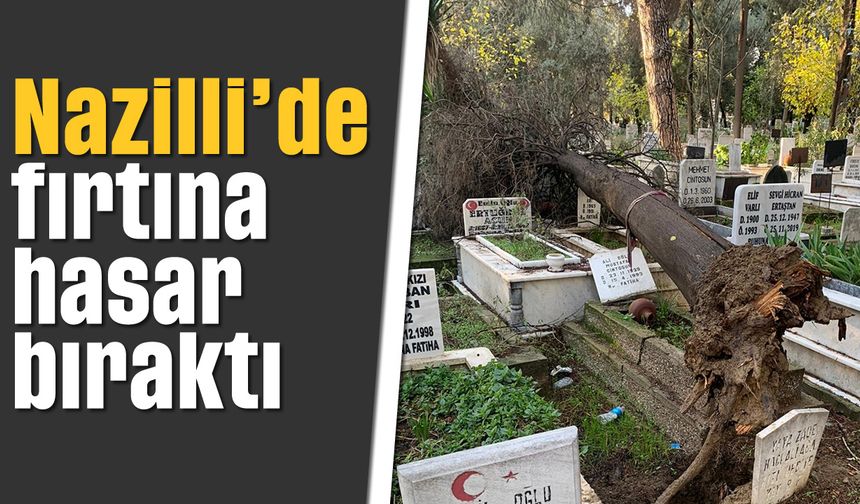 Nazilli’de fırtına hasar bıraktı