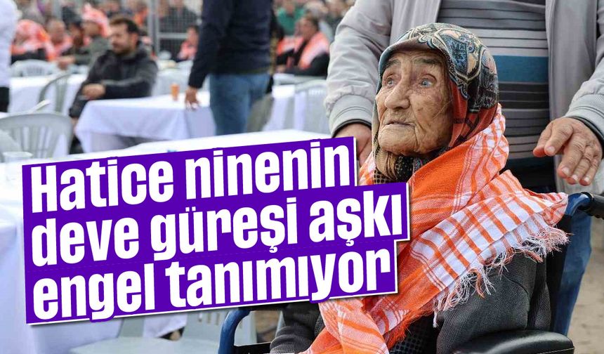 Hatice ninenin deve güreşi aşkı, engel tanımıyor