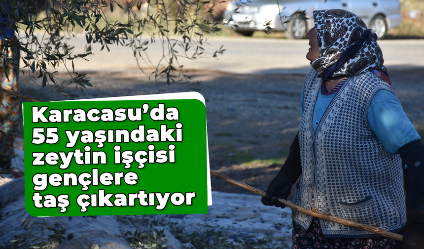 Karacasu'da 55 yaşındaki zeytin işçisi gençlere taş çıkartıyor