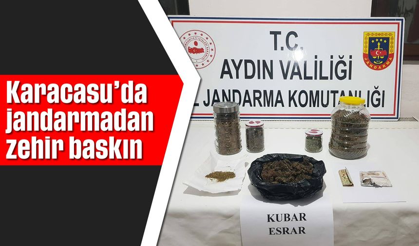 Karacasu'da jandarmadan zehir baskını