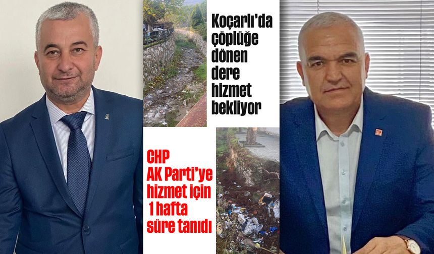 Koçarlı'da çöplüğe dönen dere, hizmet bekliyor