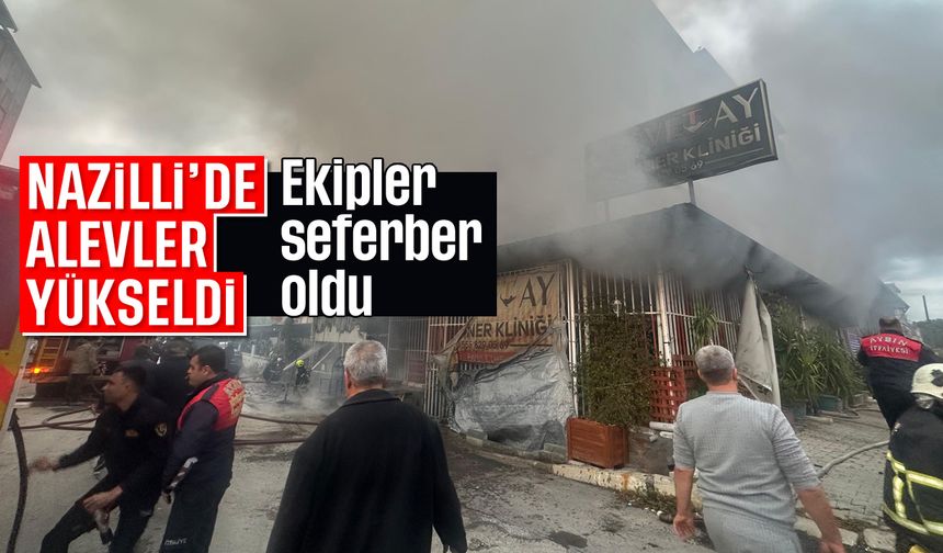 Nazilli'de alevler yükseldi: Ekipler seferber oldu