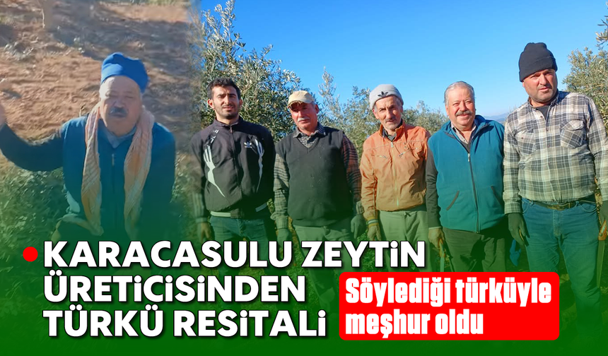 Karacasulu zeytin üreticisinden türkü resitali: Söylediği türküyle meşhur oldu