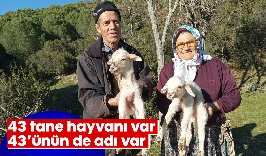 43 tane hayvanı var, 43'ünün de adı var