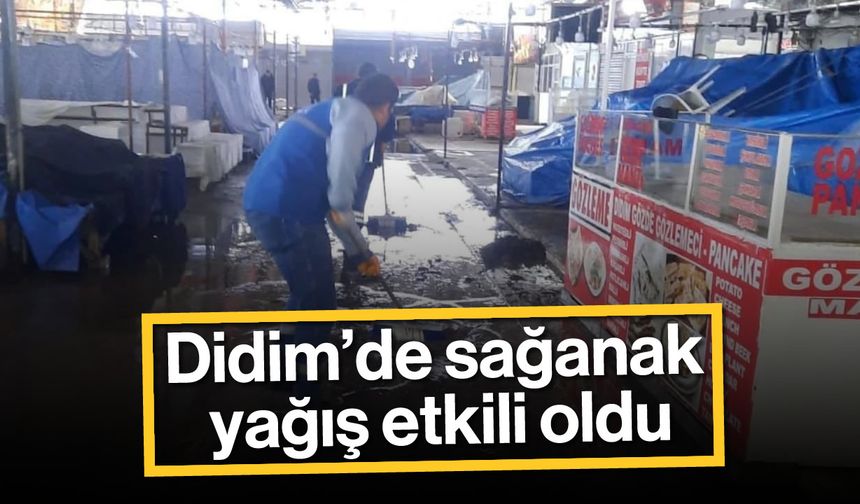 Didim'de sağanak yağış etkili oldu