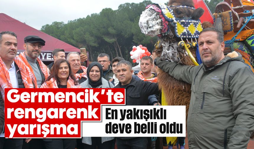 Germencik’te rengarenk yarışma: En yakışıklı deve belli oldu