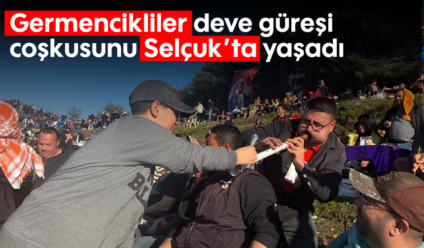 Germencikliler, deve güreşi coşkusunu Selçuk’ta yaşadı