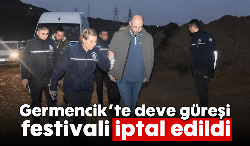 Germencik’te deve güreşi festivali iptal edildi