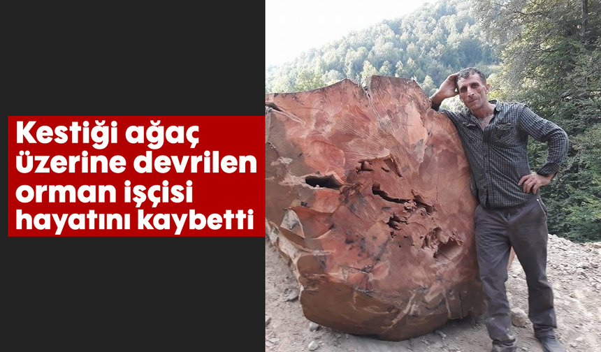 Kestiği ağaç üzerine devrilen orman işçisi hayatını kaybetti