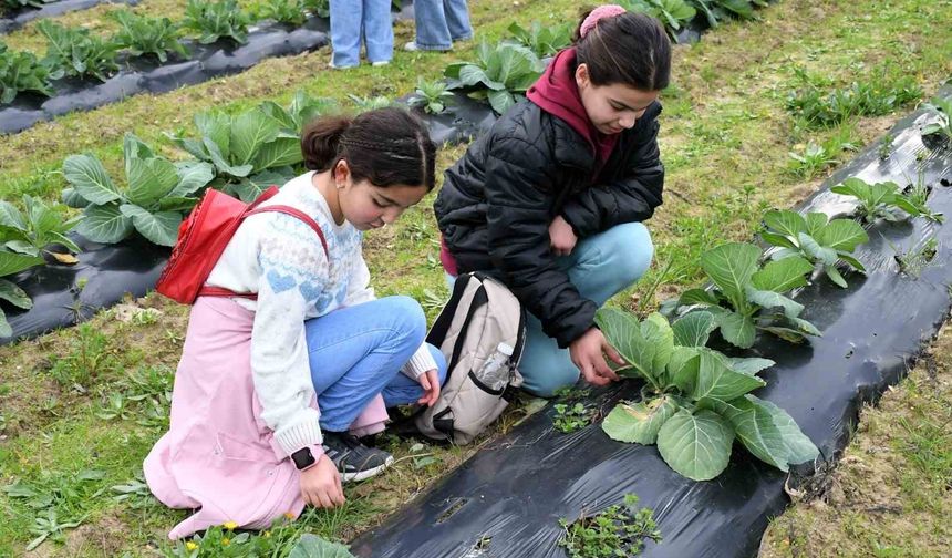 Kuşadası Belediyesi’nden öğrencilere karne hediyesi