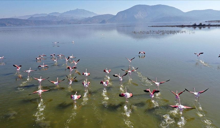 Turistik tesisler ve kamp alanları vardır. Türkiye'nin önemli kuş cennetlerinden biridir. Bafa Gölü'nün Balat Ovası'na bakan batı kıyısı, sonbahar ve ilkbaharda göçmen kuşların konaklayıp üredikleri sığ bir alandır. Bafa Gölü, 1994 yılında Tabiatı Koruma Alanı ilan edildi. Bafa Gölü, doğa fotoğrafçıları ve kuş gözlemcileri için adeta bir cennettir.