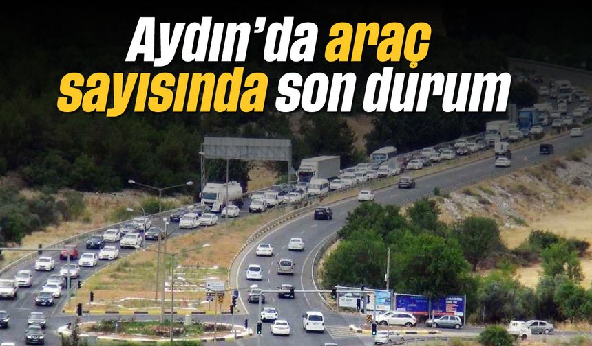 Aydın’da araç sayısında son durum