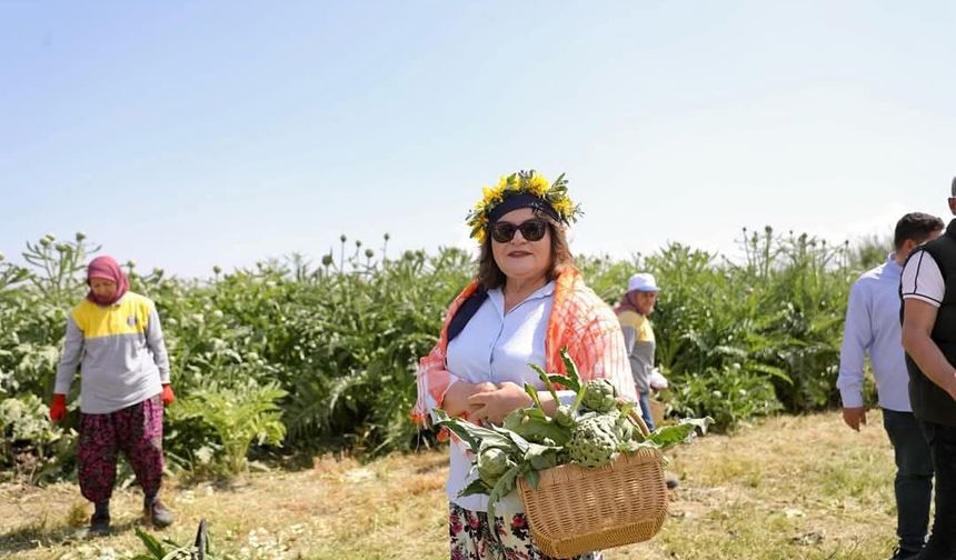 Baskan Gençay Festivalde enginar hasadı yaptı
