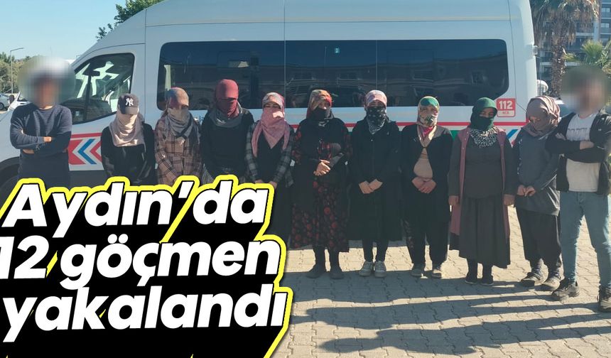 Aydın'da 12 göçmen yakalandı