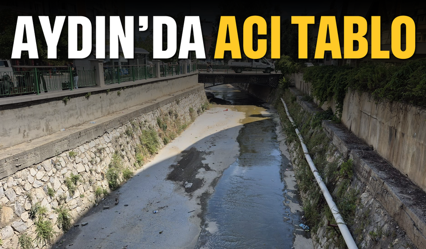 Aydın’da acı tablo