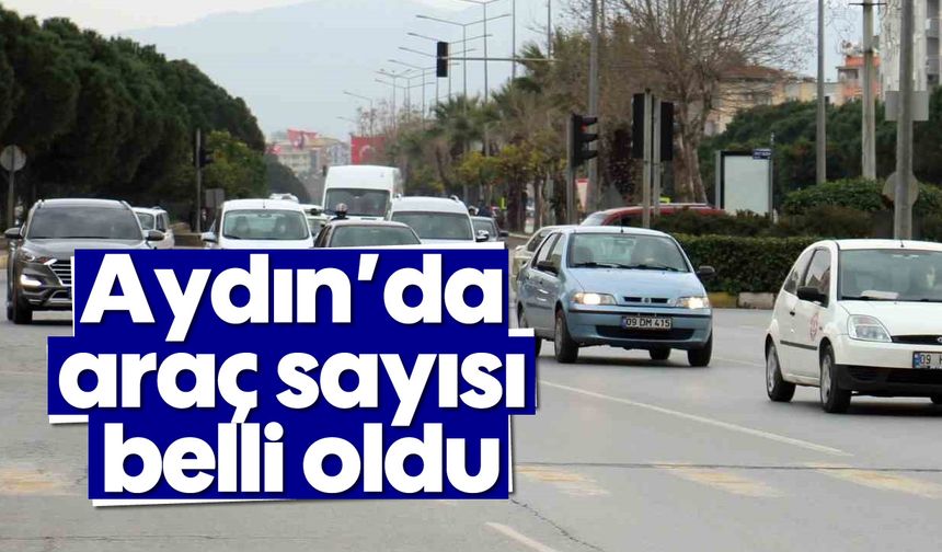 Aydın’da araç sayısı belli oldu