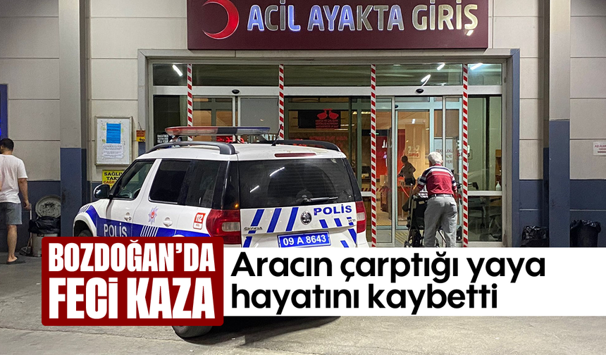 Bozdoğan’da feci kaza: Aracın çarptığı yaya hayatını kaybetti