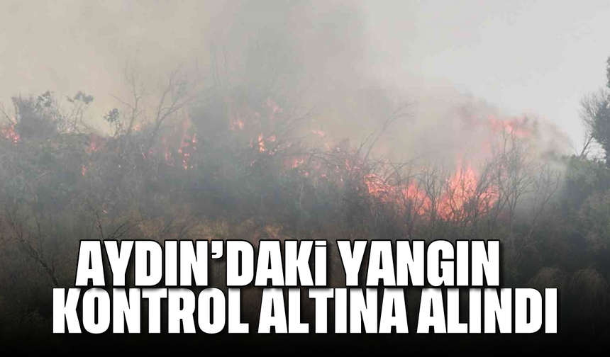 Aydın’daki yangın kontrol altına alındı
