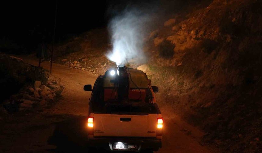 Bozdoğan’da ilaçlama çalışmaları sürüyor