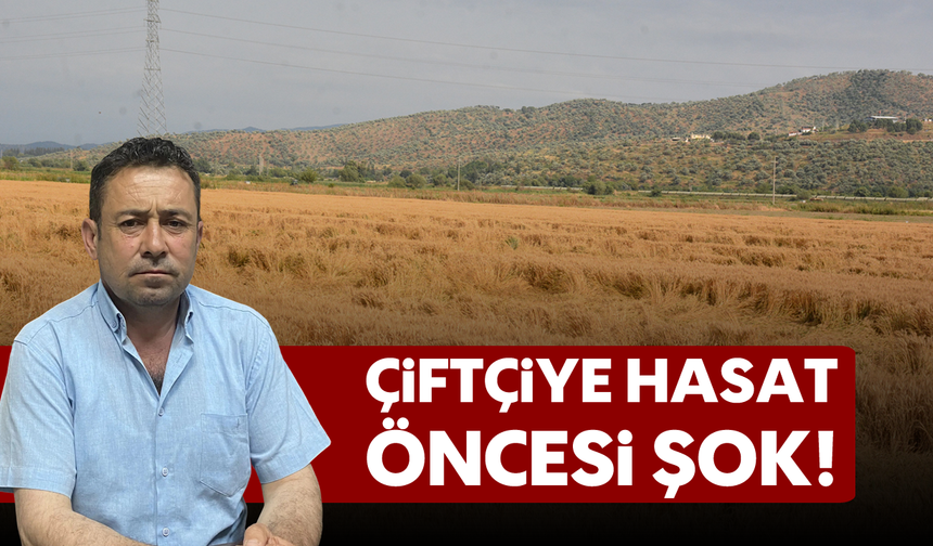 Çiftçiye hasat öncesi şok!