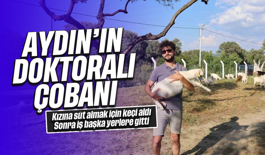 Aydın'ın doktoralı çobanı