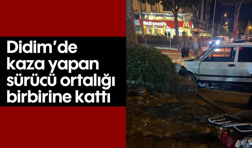 Didim'de kaza yapan sürücü ortalığı birbirine kattı