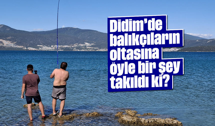 Didim'de balıkçıların oltasına öyle bir şey takıldı ki?