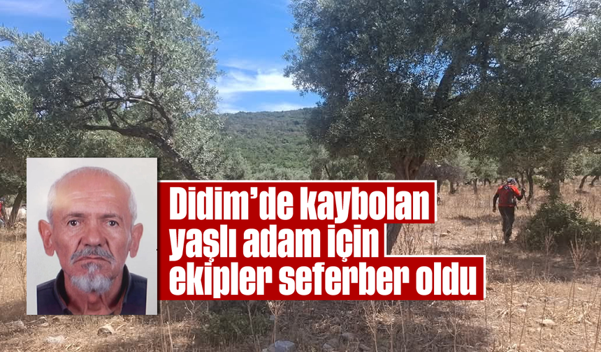 Didim'de kaybolan yaşlı adam için ekipler seferber oldu