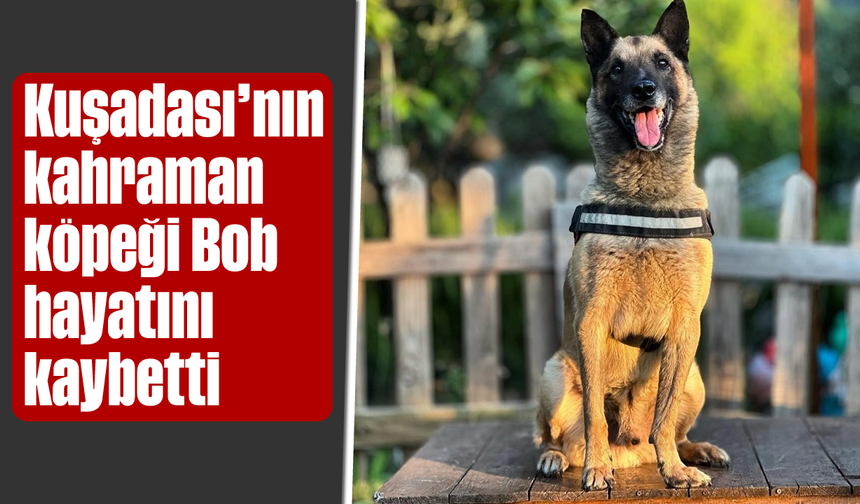 Kuşadası’nın kahraman köpeği Bob hayatını kaybetti