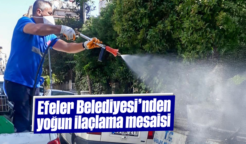 Efeler Belediyesi’nden yoğun ilaçlama mesaisi