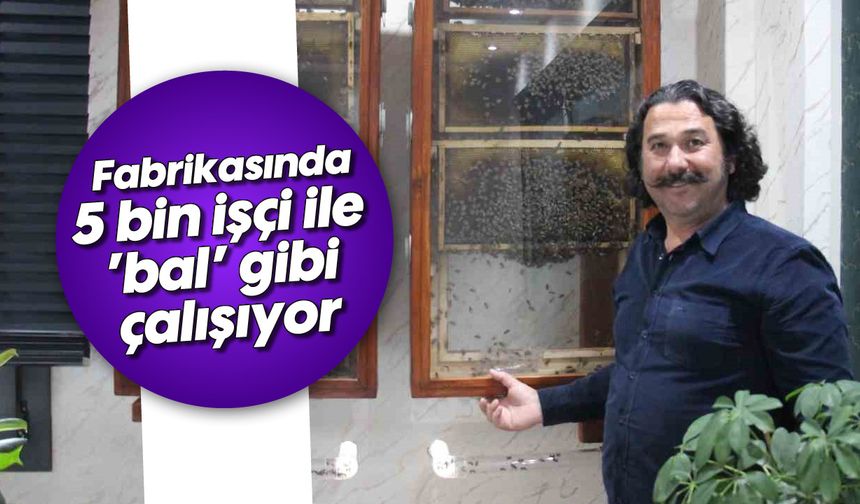 Fabrikasında 5 bin işçi ile ’bal’ gibi çalışıyor