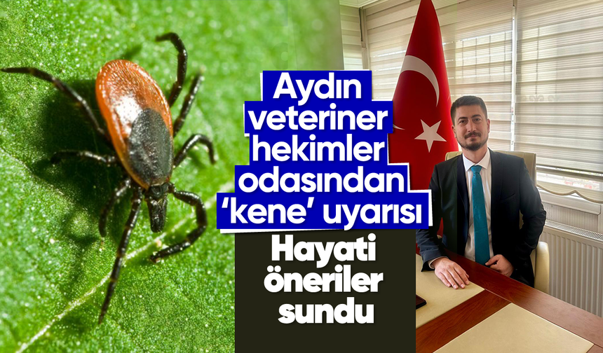 Aydınlı veteriner hekimden 'kene' uyarısı