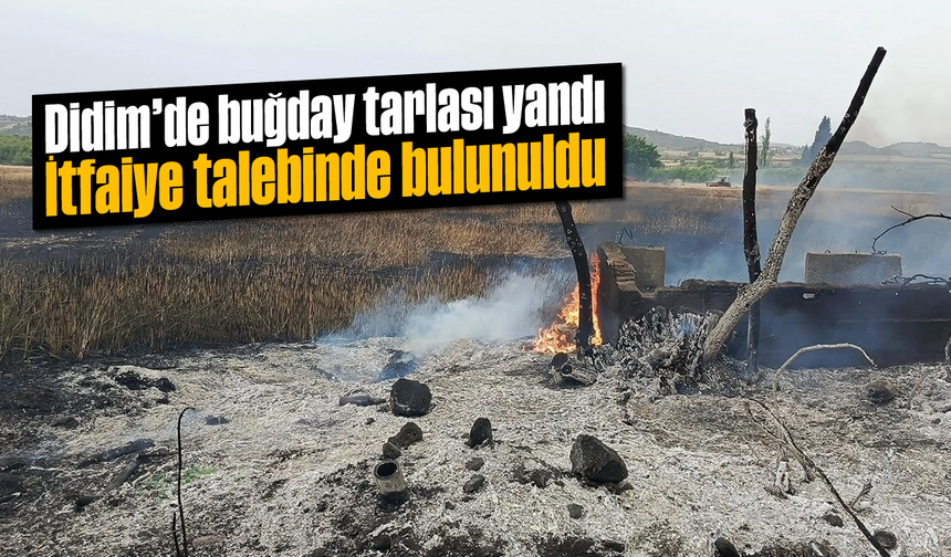 Didim’de buğday tarlası yandı: İtfaiye talebinde bulunuldu
