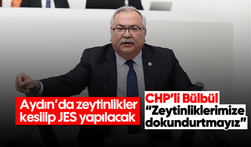 Aydın’da zeytinlikler kesilip JES yapılacak