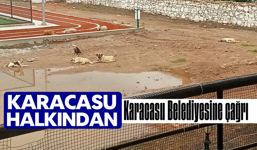 Karacasu halkından Karacasu Belediyesine çağrı