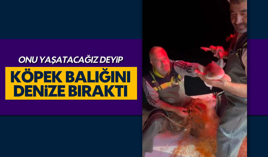 "O'nu yaşatacağız" deyip köpek balığını denize bıraktı