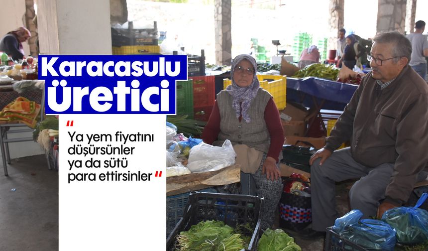 Karacasulu üretici: 'Ya yem fiyatını düşürsünler ya da sütü para ettirsinler'