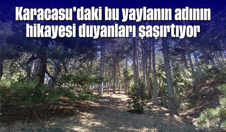 Karacasu'daki bu yaylanın adının hikayesi duyanları şaşırtıyor