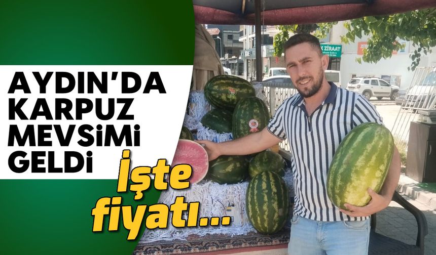 Aydın'da karpuz mevsimi geldi: İşte fiyatı...