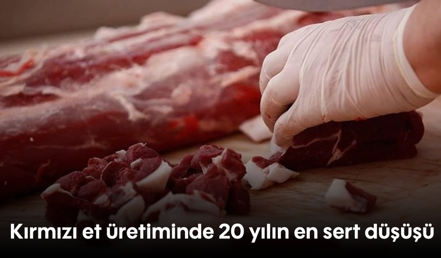 Kırmızı et üretiminde 20 yılın en sert düşüşü