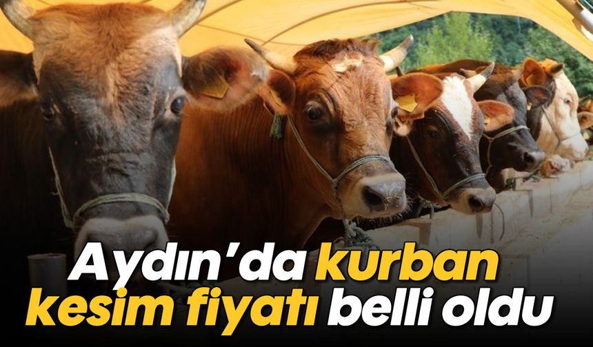 Aydın’da kurban kesim fiyatı belli oldu