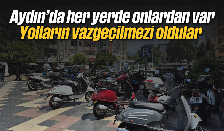 Aydın'da her yerde onlardan var: Yolların vazgeçilmezi oldular