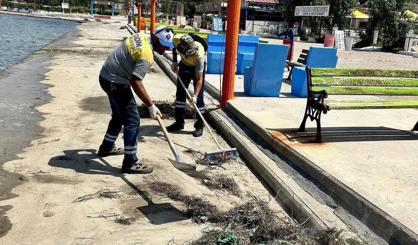 Mavişehir sahilinde temizlik çalışması yapıldı