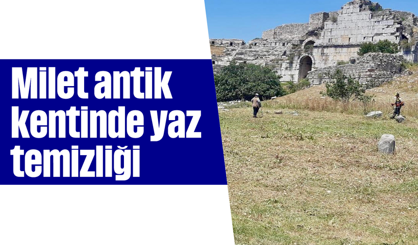 Milet antik kentinde yaz temizliği