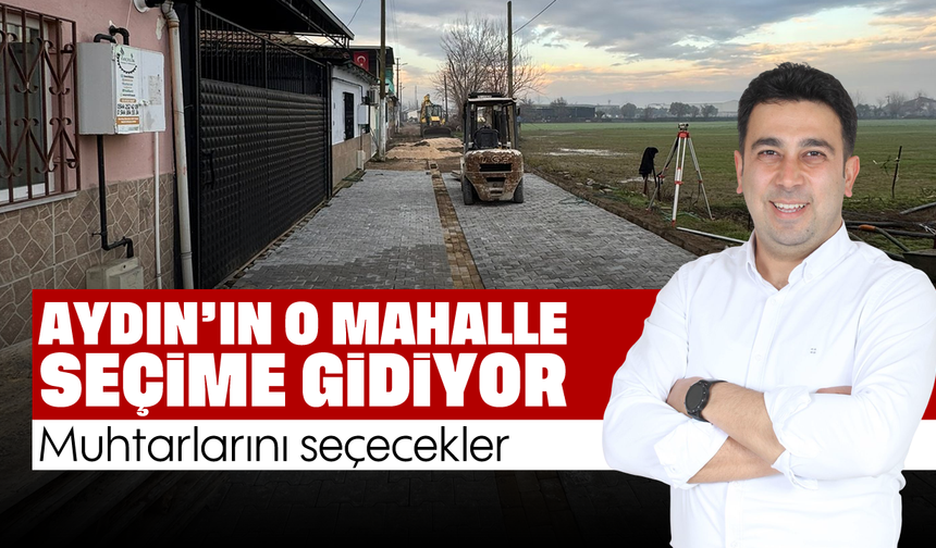 Aydın’ın o mahalle seçime gidiyor: Muhtarlarını seçecekler